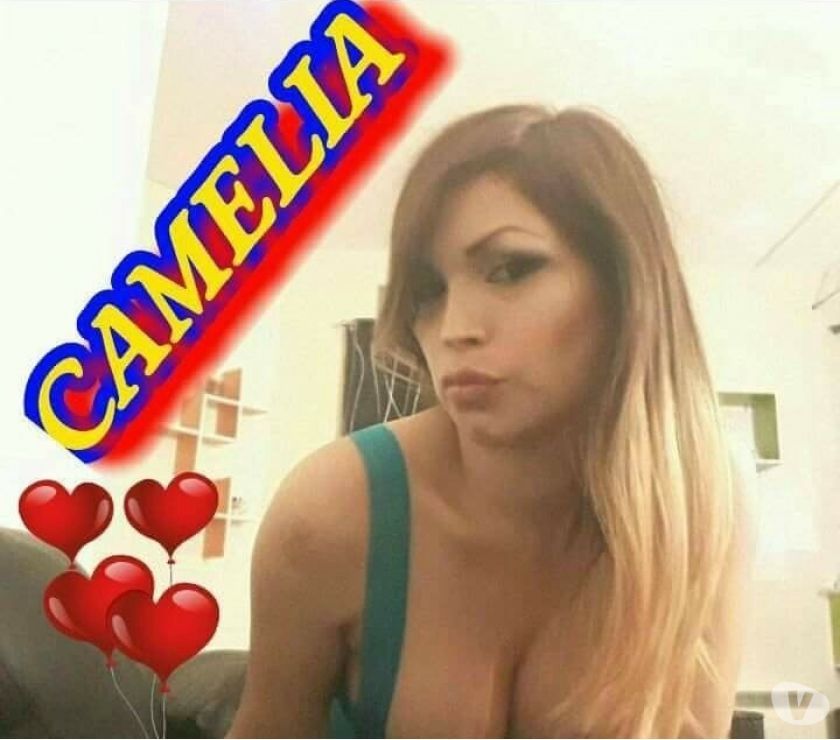 Camelia un beau trans distingué